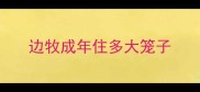 边牧成年住多大笼子
