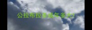 公拉布拉多成年多大