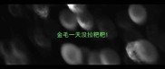 金毛一天没拉粑粑