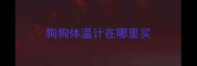 狗狗体温计在哪里买