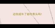 边牧成年了能吃骨头吗