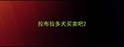 拉布拉多犬买卖吧