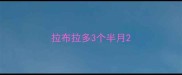 拉布拉多3个半月