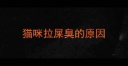 猫咪拉屎臭的原因