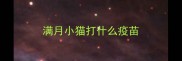 满月小猫打什么疫苗