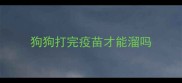 狗狗打完疫苗才能溜吗