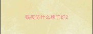 猫疫苗什么牌子好