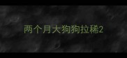 两个月大狗狗拉稀