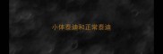小体泰迪和正常泰迪