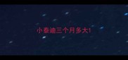 小泰迪三个月多大