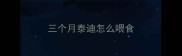 三个月泰迪怎么喂食