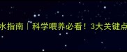 哈士奇每日饮水指南科学喂养必看3大关键点守护雪橇犬健康