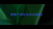 狗狗不想吃东西没精神