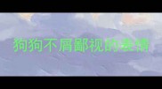 狗狗不屑鄙视的表情
