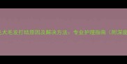 金毛犬毛发打结原因及解决方法专业护理指南附深度