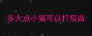 多大点小猫可以打疫苗