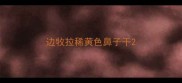 边牧拉稀黄色鼻子干