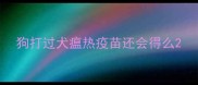 狗打过犬瘟热疫苗还会得么