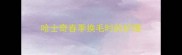 哈士奇春季换毛时的护理