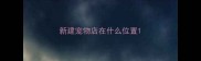 新建宠物店在什么位置