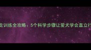 泰迪犬直立行走训练全攻略5个科学步骤让爱犬学会直立行走的正确姿势
