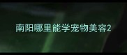 南阳哪里能学宠物美容