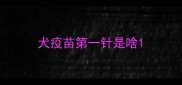 犬疫苗第一针是啥