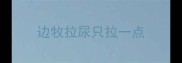 边牧拉尿只拉一点