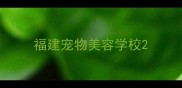 福建宠物美容学校