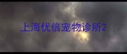 上海优倍宠物诊所