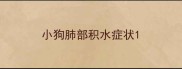 小狗肺部积水症状