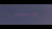 拉布拉多3个月淘