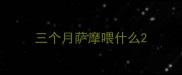 三个月萨摩喂什么