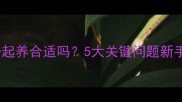 狗狗和猫一起养合适吗5大关键问题新手必看