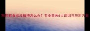 狗狗有食欲没精神怎么办专业兽医6大诱因与应对方案