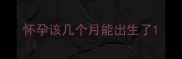 怀孕该几个月能出生了