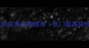 适合新手家庭的家养宠物推荐低门槛高陪伴感TOP5清单