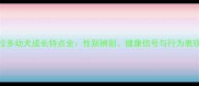 拉布拉多幼犬成长特点全性别辨别健康信号与行为表现指南