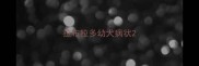 拉布拉多幼犬病状