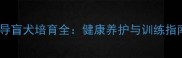巧克力色拉布拉多导盲犬培育全健康养护与训练指南附选购技巧