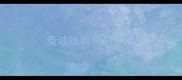 泰迪吃鸡骨头呕吐