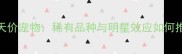 全球十大天价宠物稀有品种与明星效应如何推高价格