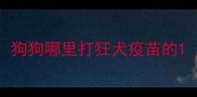 狗狗哪里打狂犬疫苗的