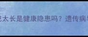 拉布拉多尾巴太长是健康隐患吗遗传病与日常护理全