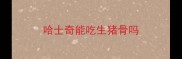 哈士奇能吃生猪骨吗