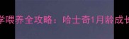 幼犬30天科学喂养全攻略哈士奇1月龄成长关键期指南