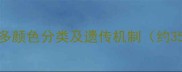 拉布拉多颜色分类及遗传机制约350字