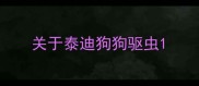 关于泰迪狗狗驱虫