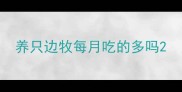 养只边牧每月吃的多吗