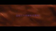 边牧三个月掉毛正常吗